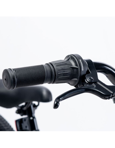 Dziecięcy rower martes essentials ninja 20