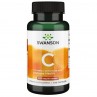 Vitamin C with Rose Hips (100 kaps.)