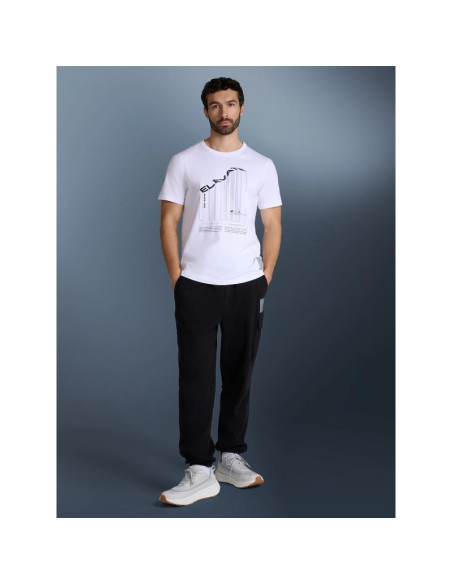 T-shirt regular z nadrukiem męski 4f 4fraw25ttshm3845-10s