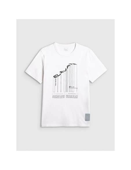 T-shirt regular z nadrukiem męski 4f 4fraw25ttshm3845-10s