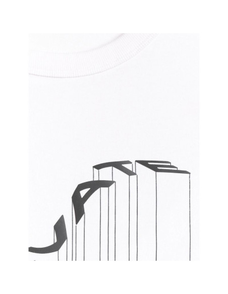 T-shirt regular z nadrukiem męski 4f 4fraw25ttshm3845-10s