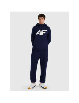Spodnie dresowe joggery męskie 4f 4frmm00ttrom1625-31s 2