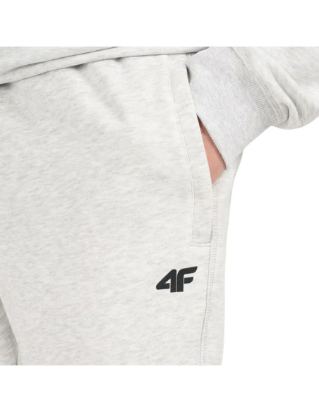 Spodnie męskie 4f cas m1674 chłodny jasny szary melanż 4fwmm00ttrom1674 27m