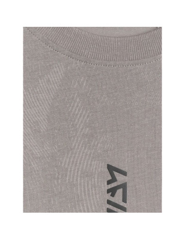 T-shirt regular z nadrukiem męski 4f 4fraw25ttshm3385-27a