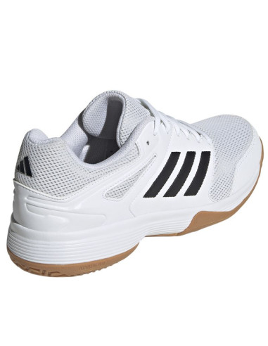 Buty do siatkówki adidas speedcourt m