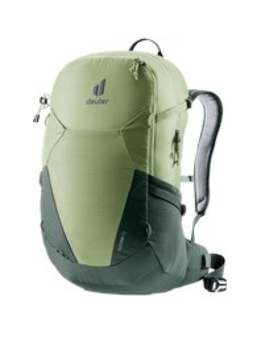 Roślina doniczkowa futura 23 gaj-bluszcz uniwersalny