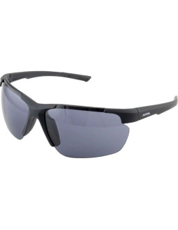 Okulary alpina defey hr kolor black matt szkło black cat. 3 2