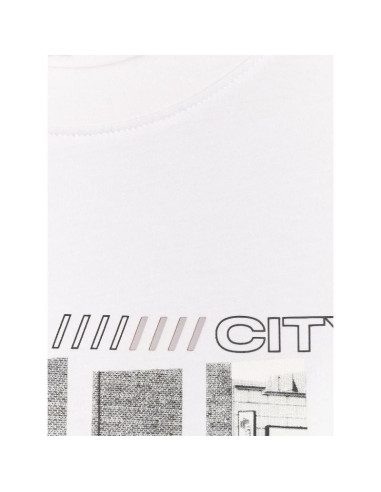 T-shirt regular z nadrukiem męski  4f 4fraw25ttshm3364-10s