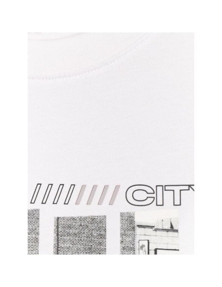 T-shirt regular z nadrukiem męski  4f 4fraw25ttshm3364-10s