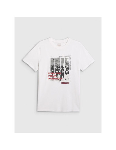 T-shirt regular z nadrukiem męski  4f 4fraw25ttshm3364-10s