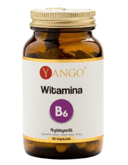 Witamina B6 (90 Kaps.)