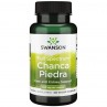 Chanca piedra 500 mg (60 kaps.)