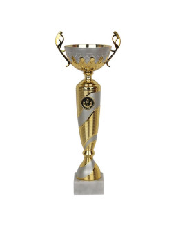 Puchar tryumf nt1024