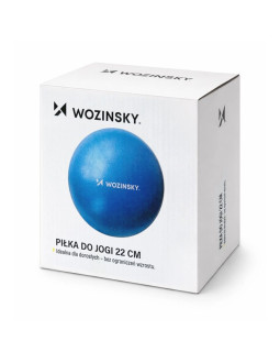 Piłka do ćwiczeń wozinsky wpdp-n22 rehabilitacyjna 25cm - niebieska 2