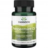 Peppermint Oil Combination (100 kaps.)