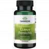 Full Spectrum Coleus Forskohlii 400 mg (60 kaps.)