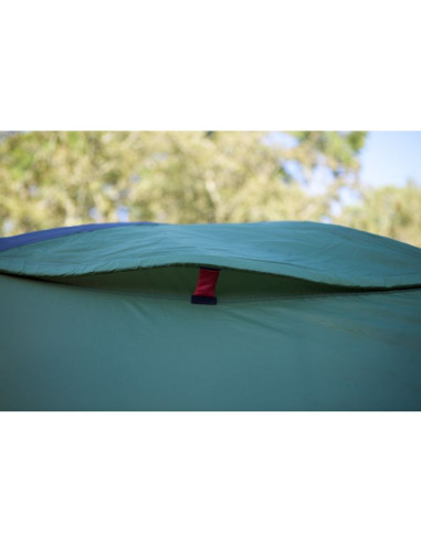 Coleman darwin 4 plus 4 os. zielony namiot kopułowy / igloo