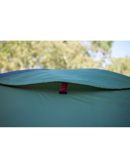 Coleman darwin 4 plus 4 os. zielony namiot kopułowy / igloo