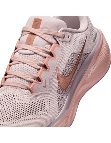 Nike pegasus 41 (fd2723-604)