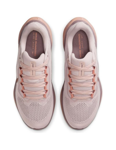 Nike pegasus 41 (fd2723-604)