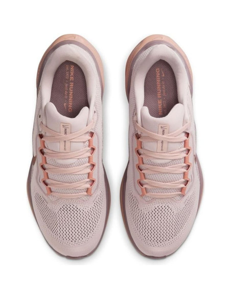 Nike pegasus 41 (fd2723-604)
