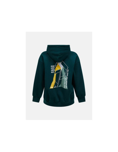 Bluza męska peak performance m terry graphic hood kolor zielony