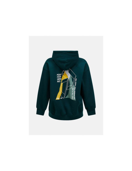 Bluza męska peak performance m terry graphic hood kolor zielony