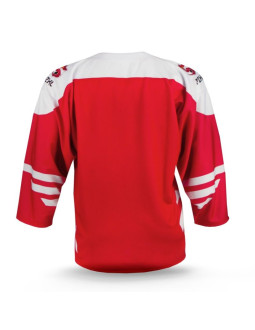 Replika bluzy reprezentacji polski senior 2