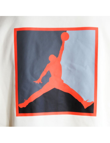 Bluza z kapturem air jordan brooklyn fleece graphic pullover - hv0544-110