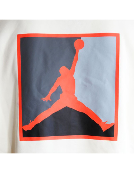 Bluza z kapturem air jordan brooklyn fleece graphic pullover - hv0544-110