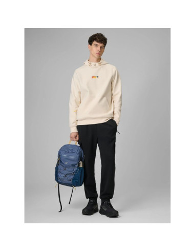 Bluza dresowa regular z kapturem męska 4f 4frss26tswsm2894-12s