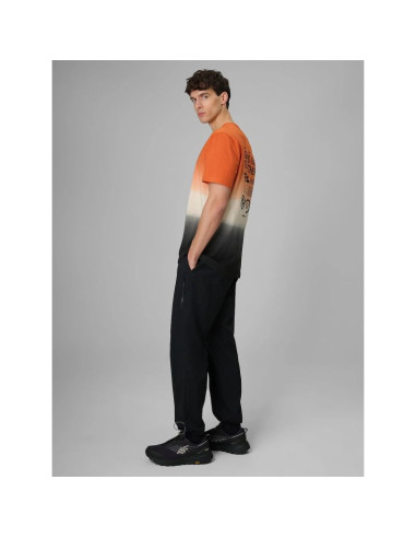 Spodnie casual joggery męskie 4f 4frss26ttrom1915-20s