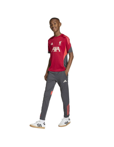 Koszulka adidas liverpool fc training jsy junior kb1468
