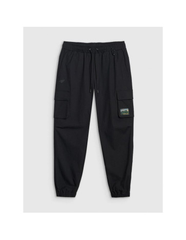 Spodnie casual cargo męskie 4f 4fraw25ttrom1690-20s