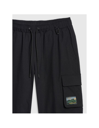 Spodnie casual cargo męskie 4f 4fraw25ttrom1690-20s
