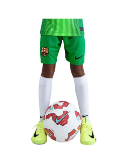 Spodenki dla dzieci nike fc barcelona 2025/26 stadium goalkeeper zielone hq0475 310