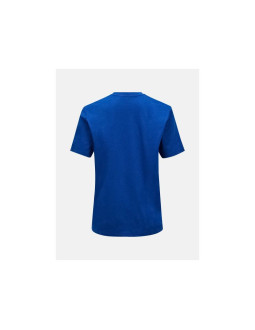 Koszulka męska peak performance m explore graphic tee kolor niebieski 2