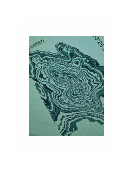 Koszulka męska peak performance m explore graphic tee kolor zielony