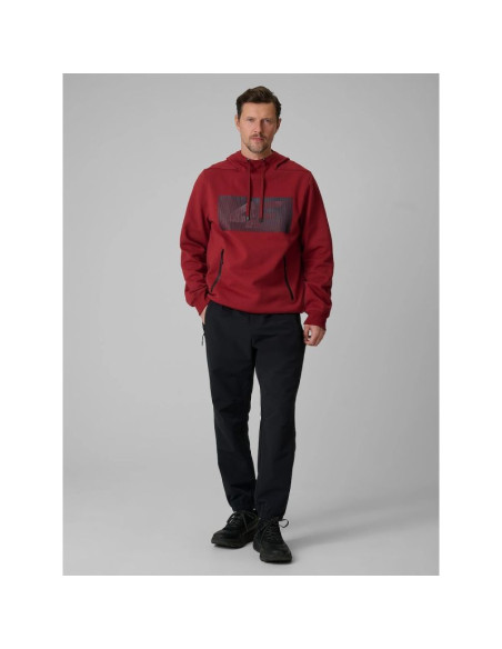 Bluza dresowa regular z kapturem męska 4f 4frss26tswsm2975-20s