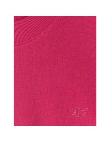 Bluza dresowa nierozpinana bez kaptura 4f 4fraw25tswsf2777-53s