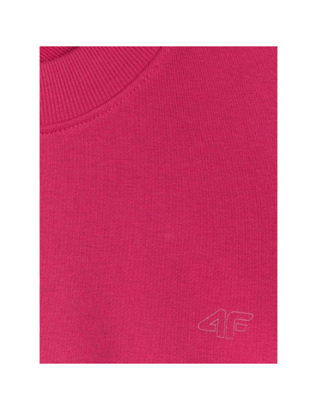 Bluza dresowa nierozpinana bez kaptura 4f 4fraw25tswsf2777-53s