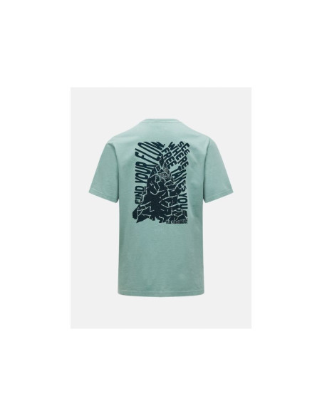 Koszulka męska peak performance m original graphic tee kolor zielony