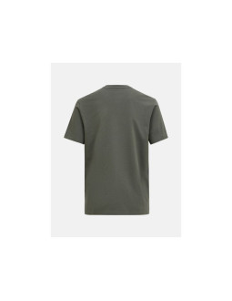 Koszulka męska peak performance m original tee kolor zielony 2