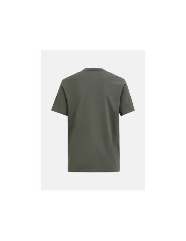 Koszulka męska peak performance m original tee kolor zielony