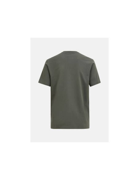 Koszulka męska peak performance m original tee kolor zielony
