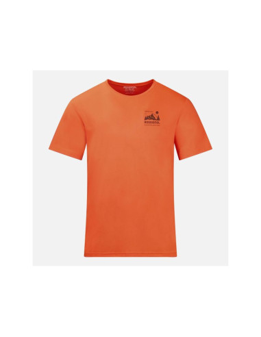 Koszulka męska rossignol m graphic active tee pomarańczowa