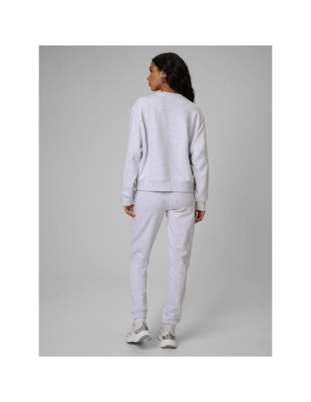Spodnie dresowe joggery damskie 4f 4frmm00ttrof1843-27m