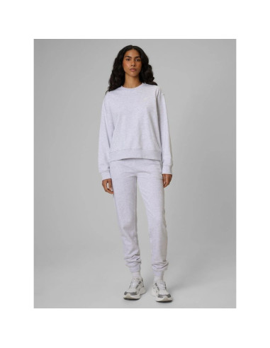 Spodnie dresowe joggery damskie 4f 4frmm00ttrof1843-27m