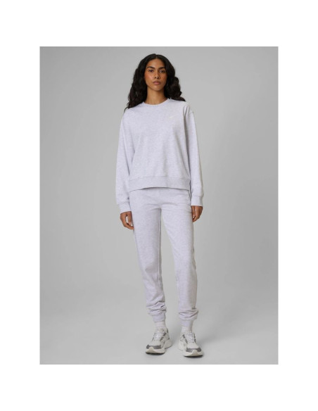 Spodnie dresowe joggery damskie 4f 4frmm00ttrof1843-27m