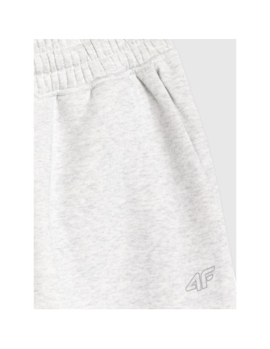 Spodnie dresowe joggery damskie 4f 4fraw25ttrof1846-26m